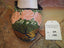 peach flowers and green leaves