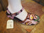 brown and tan tulip on pink and brown stripes